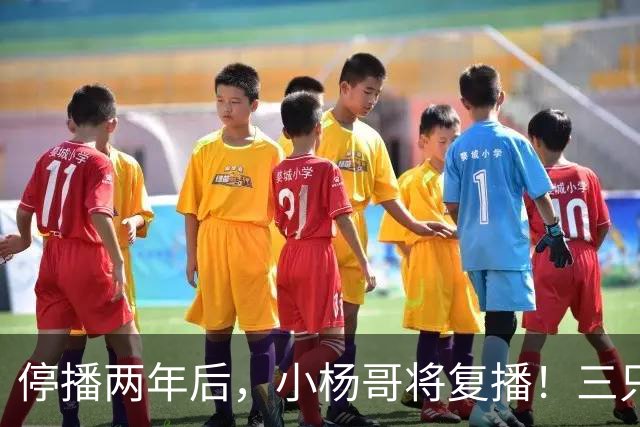 停播两年后，小杨哥将复播！三只羊曾转战海外签约无语哥