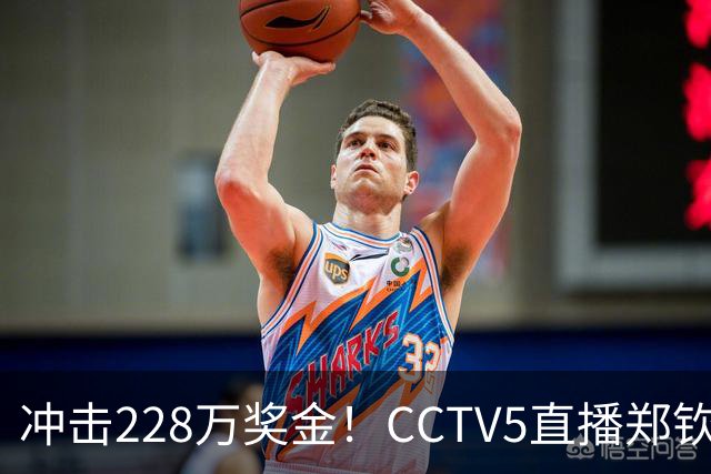 冲击228万奖金！CCTV5直播郑钦文VS斯维托丽娜，为何被安排在日场