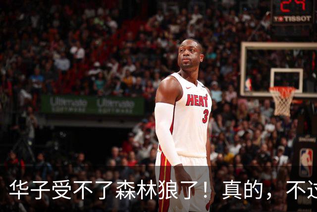 华子受不了森林狼了！真的，不过好像确实也是