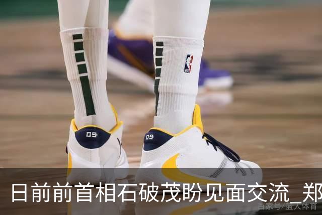 日前前首相石破茂盼见面交流 郑丽文喊非常乐意：东亚共同守护和平