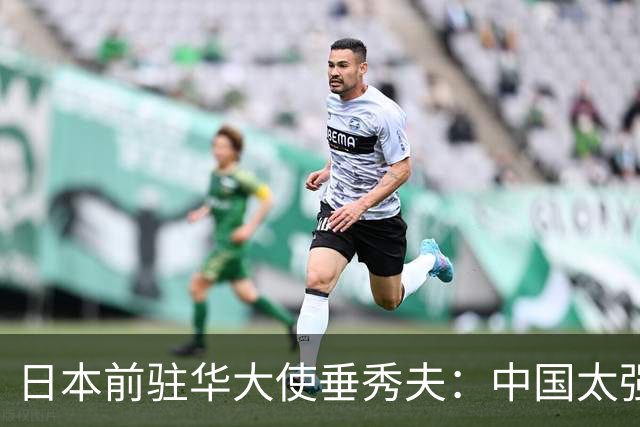 日本前驻华大使垂秀夫：中国太强大，日本打三拳，中国能还三十拳