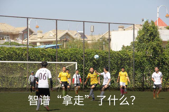 智谱“拿走”了什么？