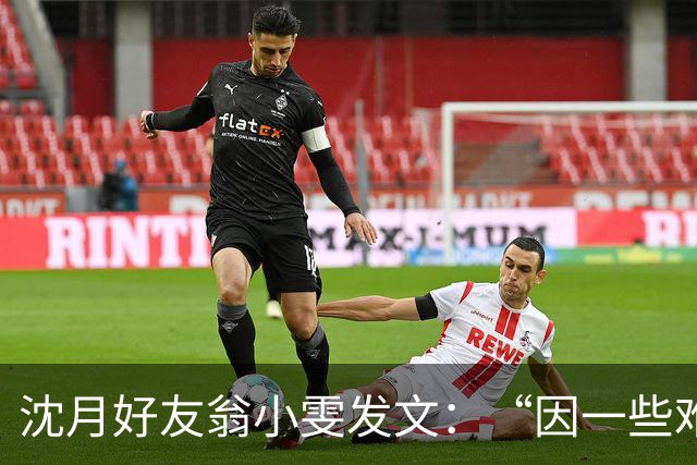 沈月好友翁小雯发文：“因一些难以承受与解决的事情，已经和伴侣分开”