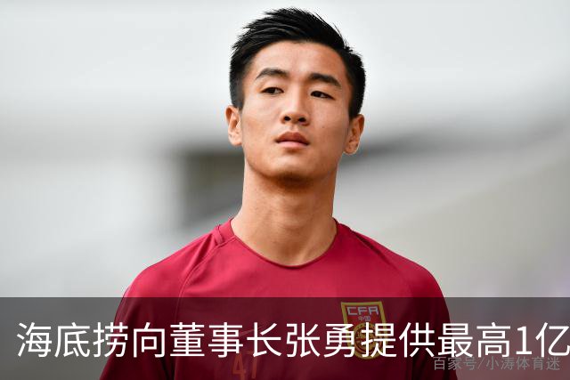 海底捞向董事长张勇提供最高1亿元贷款，期限仅30天，用于个人财务安排