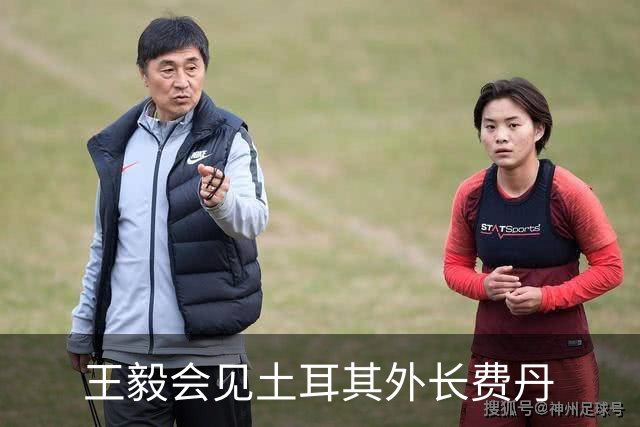王毅会见土耳其外长费丹