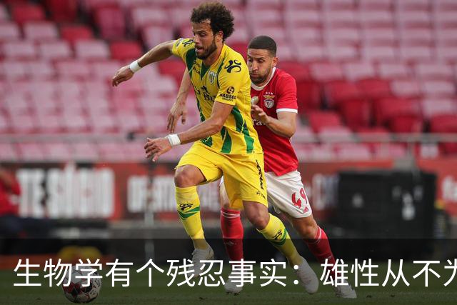生物学有个残忍事实：雄性从不为任何一只雌性停留，但它会为一只即将消失的雌性放弃整片领地！这是两性依恋的原始密码