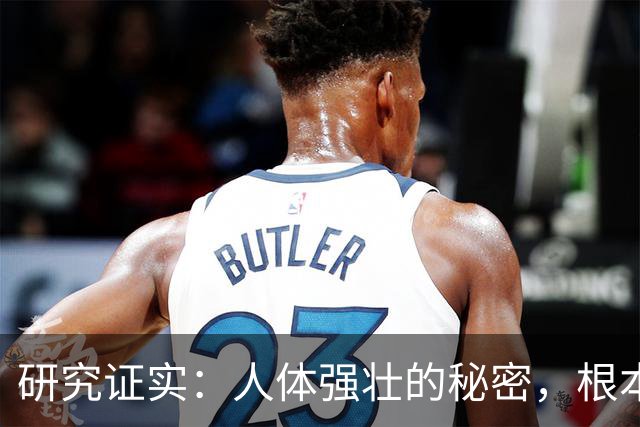 研究证实：人体强壮的秘密，根本不是肌肉！而是这几样东西