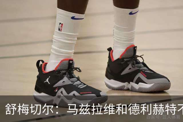 舒梅切尔：马兹拉维和德利赫特不合格，整支球队都没了血性