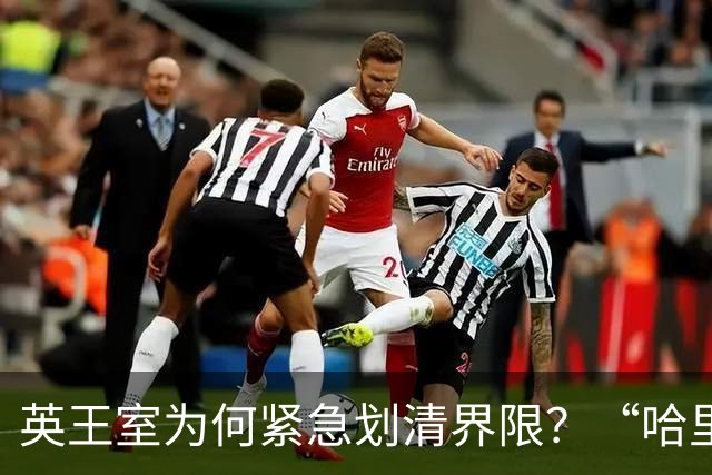 英王室为何紧急划清界限？“哈里梅根回家”沦为笑话