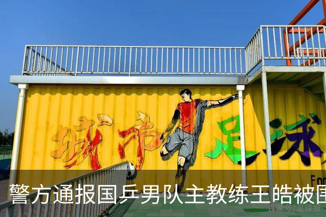 警方通报国乒男队主教练王皓被围堵辱骂：杨某某(女，19岁)、李某(女，19岁)、陶某某(女，16岁)被行政拘留，其他17人被批评教育