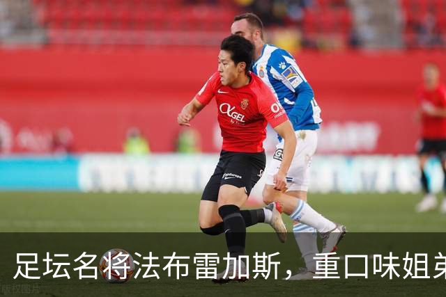 足坛名将法布雷加斯，重口味姐弟恋成就好婚姻，资产3亿孩子五个