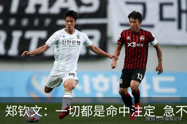 郑钦文：一切都是命中注定 急不来