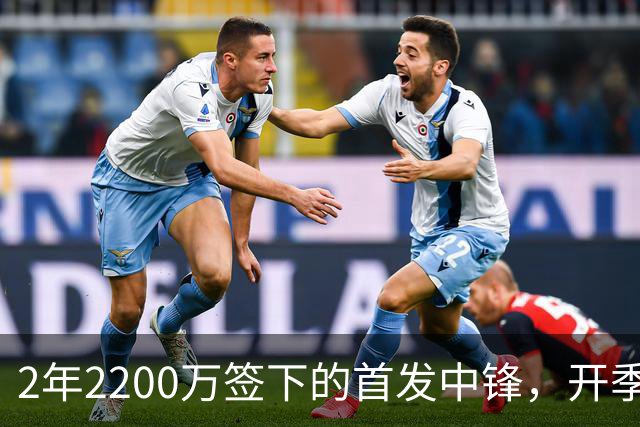 2年2200万签下的首发中锋，开季就伤了
